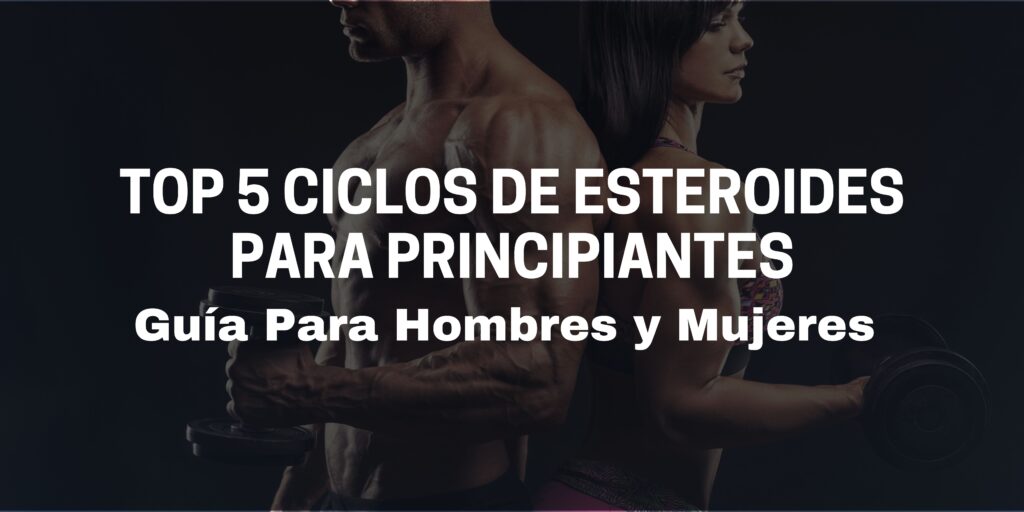 Top 5 Ciclos de Esteroides para Principiantes