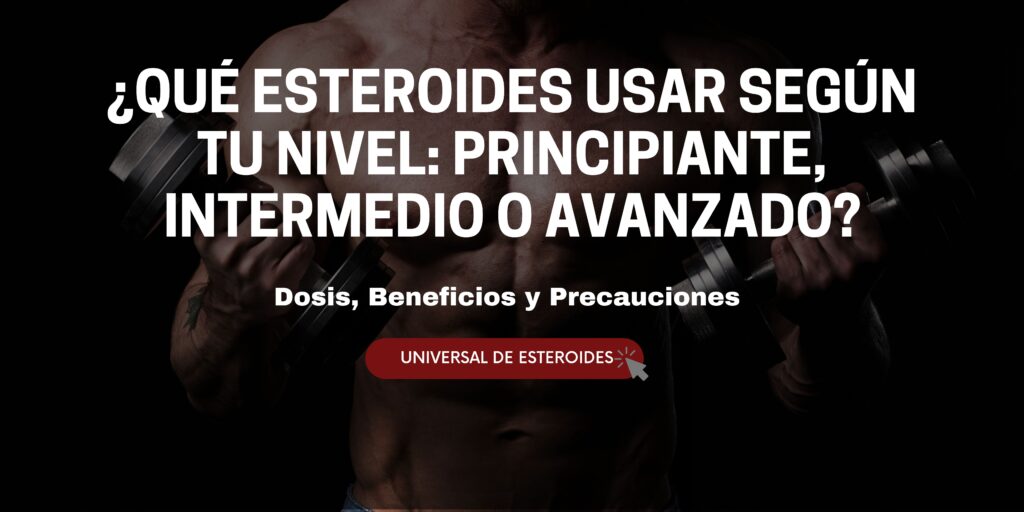 ¿Qué esteroides usar según tu nivel